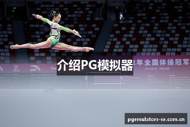 介绍PG模拟器